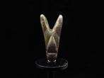 Oud-Egyptisch Zilver Vlieg/Ofef amulet - 1.7 cm (Zonder, Sieraden, Tassen en Uiterlijk, Antieke sieraden