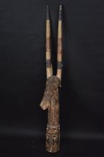 Gurunshi - Burkina Faso (Zonder Minimumprijs)