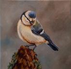 Hollandse school (XXI) - Jonge pimpelmees, Antiek en Kunst