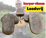 goedkoop karper lead -free 105-130g, Watersport en Boten, Hengelsport | Karpervissen, Nieuw, Ophalen of Verzenden, Dobber of Lood