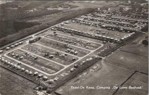 DE KOOG - Camping de Luwe Boshoek, Verzamelen, Ansichtkaarten | Nederland, Verzenden