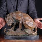Antoine Louis Bark (1796-1875) - Beeld, Majestic Struggle:, Verzamelen, Dierenverzamelingen, Nieuw