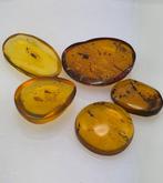 Birmese barnsteen - Barnsteen