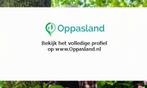 Ik ben Pauline, 18 jaar oud en ik zoek oppaswerk in Leerdam., Diensten en Vakmensen, Dieren | Paarden | Verzorging, Oppas en Les