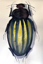 Pablo Fernandez Pujol - study for yellow big bug, Antiek en Kunst, Kunst | Schilderijen | Modern