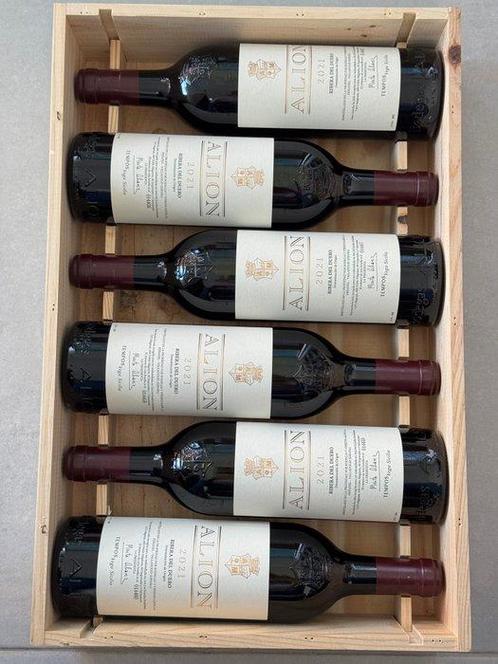 2021 Tempos - Vega Sicilia, Alion - Ribera del Duero - 6, Verzamelen, Wijnen
