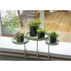 Esschert Design Plantenblad met klem rond M groen (Overige), Verzenden, Nieuw