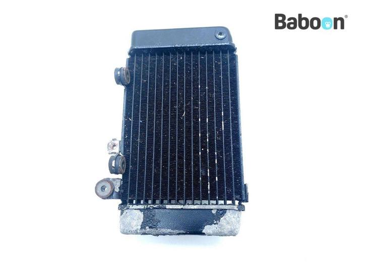 Radiateur Links Honda XL 650 V Transalp (XL650V RD10 RD11), Motoren, Onderdelen | Honda, Gebruikt, Verzenden