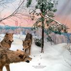LP nieuw - The Jealous Sound - A Gentle Reminder 2-LP+CD, Cd's en Dvd's, Vinyl | Rock, Verzenden, Nieuw in verpakking