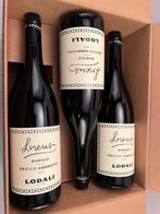 2018 Lodali, Barolo Lorens Bricco Ambrogio - Piëmont DOCG -, Nieuw
