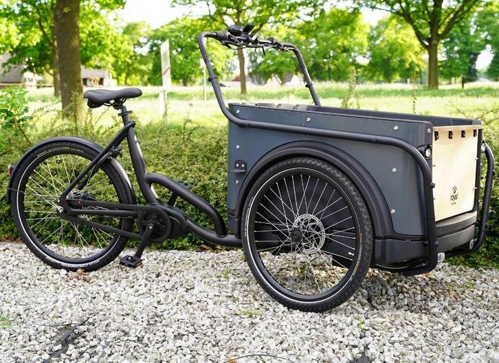 Elektrische bakfiets ROYAL CARGO BIKE twee en driewieler LEI, Fietsen en Brommers, Fietsen | Bakfietsen, 4 kinderen of meer, Elektrisch