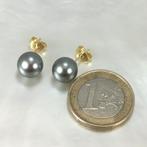 Oorbellen - 18 karaat Geel goud Parel - Tahiti Rd Ø 9x9,5 mm, Nieuw