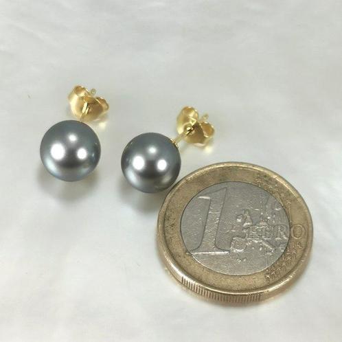 Oorbellen - 18 karaat Geel goud Parel - Tahiti Rd Ø 9x9,5 mm, Sieraden, Tassen en Uiterlijk, Oorbellen