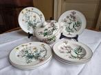 Villeroy & Boch - Tafelservies (9) - botanica - Porselein