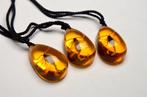 Schorpioen Taxidermie hanger 25 x 17 mm (set van 3 stuks) -, Nieuw