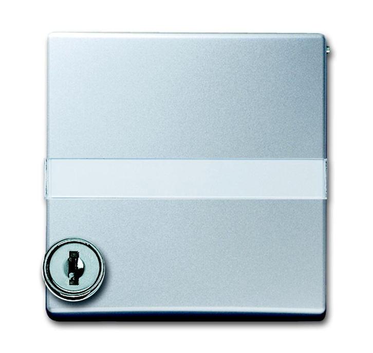 ABB Busch-Jaeger adapterplaat met slot IP44 -, Doe-het-zelf en Verbouw, Elektra en Kabels, Overige typen, Nieuw, Verzenden