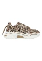 DWRS Jupiter Leopard Glimmer J5554C-91-8411 Beige-41, Verzenden, Nieuw, Beige