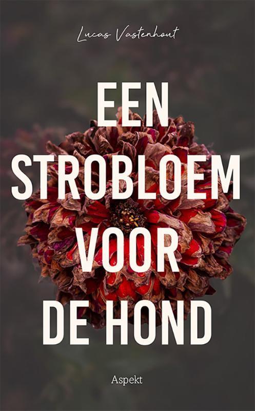 Een strobloem voor de hond 9789464629088 Lucas Vastenhout, Boeken, Literatuur, Zo goed als nieuw, Verzenden