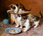 Jules Gustave Le Roy (1856-1921) - Spelende Kittens - NO