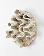 Yulia Lavrova - Blossom Believers