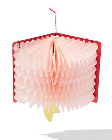 HEMA Hooneycomb boek van Sint 22x32x22cm beschikbaar voor biedingen