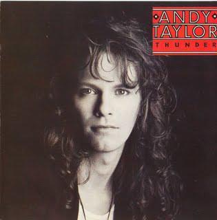 LP gebruikt - Andy Taylor - Thunder, Cd's en Dvd's, Vinyl | Pop, Zo goed als nieuw, Verzenden