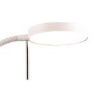 LED Vloerlamp - Trion Amon - 12W - Aanpasbare Kleur -, Huis en Inrichting, Lampen | Vloerlampen, Ophalen of Verzenden, Nieuw, Metaal