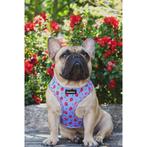 OPHEFFINGSUITVERKOOP! Hondenaccessoires, Dieren en Toebehoren, Ophalen of Verzenden, Nieuw