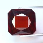 Oranje Granaat - 48.56 ct - nternational Colored Gemstone, Nieuw