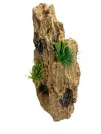 Dragon stone decoratiesteen 22cm OS-137 - aquarium decoratie, Dieren en Toebehoren, Vissen | Aquaria en Toebehoren, Ophalen of Verzenden