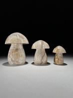 GEEN MINIMUMPRIJS - Prachtige set van 3 Lace Agate -