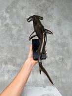 sculptuur, NO RESERVE PRICE - Bronze Hammerhead Shark on a