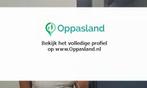 Ik ben femke, 16 jaar oud en ik zoek oppaswerk in Ophemert., Nieuw