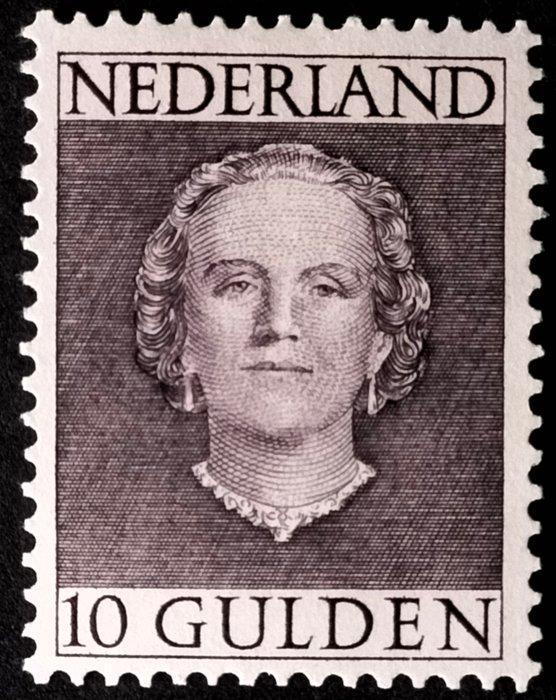 Nederland 1949/1951 - Juliana En Face 10 gulden - Nvph 537, Postzegels en Munten, Postzegels | Nederland