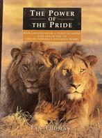 The Power of the Pride, Ophalen of Verzenden, Nieuw