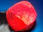 100 cts - Onbehandelde robijn - Ruw- 20 g