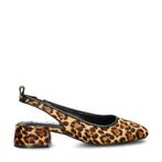 Steve Madden Smitten Leopard ballerinas & instappers, Bruin, Verzenden, Steve Madden, Nieuw