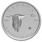 Canada Goose 2 oz 2020, Zilver, Losse munt, Verzenden, Noord-Amerika