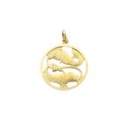 Gouden sterrenbeeld hanger; Vissen (vissen kettinghanger), Ophalen of Verzenden, Gebruikt, Goud, Overige merken