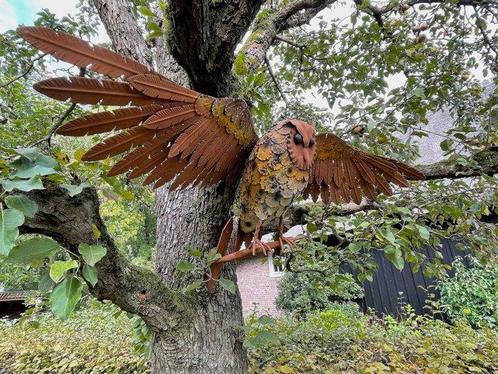 sculptuur, Schitterende uil - Oehoe - Spanwijdte 96 cm -, Antiek en Kunst, Curiosa en Brocante