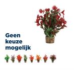 Zolux Ornament Pastic Plant Op Stenen Puntig Assorti, Dieren en Toebehoren, Vissen | Aquaria en Toebehoren, Verzenden, Nieuw