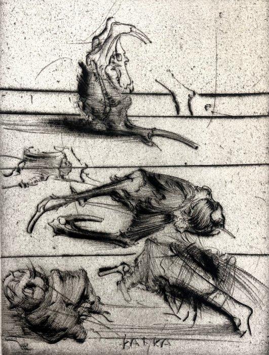 Dado (Djuric Miodrag dit) (1933 - 2010) - Kafka - Le Terrier, Antiek en Kunst, Antiek | Overige Antiek