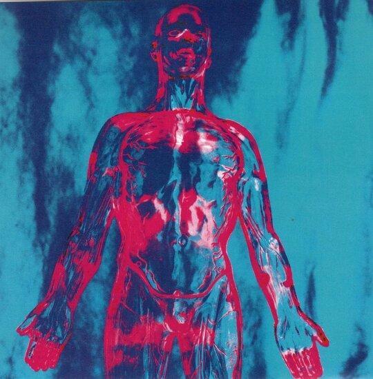 Nirvana - Sliver + Dive (Vinylsingle), Cd's en Dvd's, Vinyl Singles, Verzenden