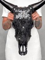 GEEN MINIMUMVERKOOPPRIJS - Prachtige koeienschedel met