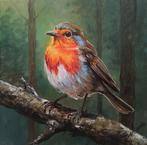 Tomasz Bednarski (1965) - Robin in the forest