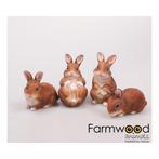Farmwood set van 4 konijnen tuinbeeldjes | 10 x 6 x 11 cm, Nieuw, Ophalen of Verzenden