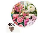 Bloembollen Ranunculus Pastel - Mix - set van 40 bollen, Huis en Inrichting, Kamerplanten, Verzenden