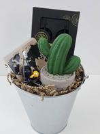 Miss Bucket -  Cactus, Nieuw, Verzenden