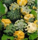 Kronen Mix Kalebas 1000 zaden, Ophalen of Verzenden, Nieuw