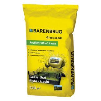 Graszaad | Barenbrug | Resilient Blue Lawn | 750 m², Tuin en Terras, Gras en Kunstgras, Nieuw, Verzenden